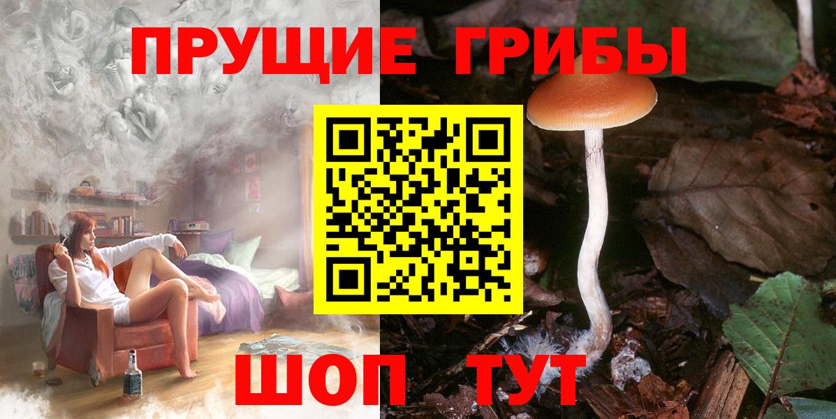 Армавир  Псилоцибиновые грибы Magic Shrooms  Вход с VPN 