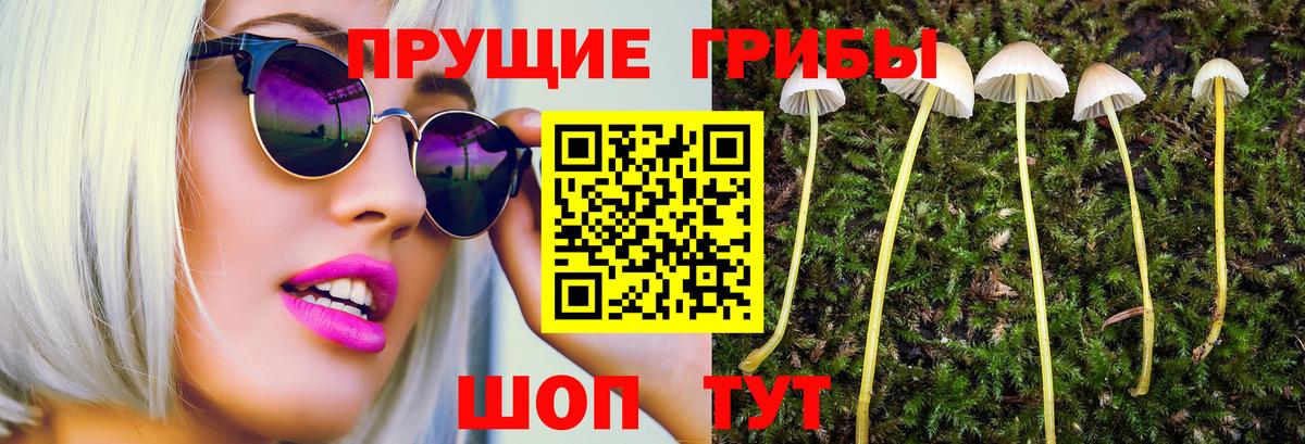 Псилоцибиновые грибы ЛСД Армавир